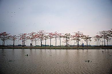 《狼人之末日怒吼：地灵之血》Steam页面上线 明年2月7日发售